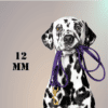 Pettrailer Lederleine 12