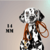 Pettrailer Lederleine 14