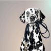 Pettrailer Lederleine 12 – Bild 13