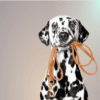 Pettrailer Lederleine 12 – Bild 8