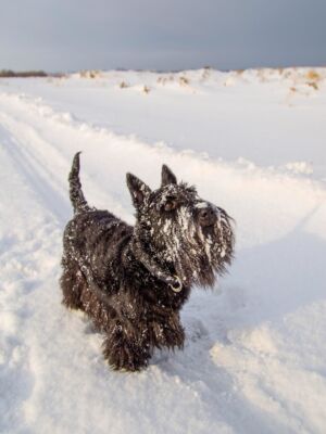 shutterstock_1614867922